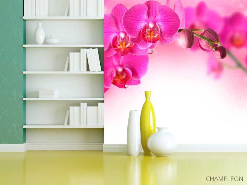 Фотошпалери Гілочка рожевих орхідей - 3