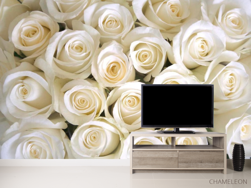 Фотообои Розы белоснежные - 2