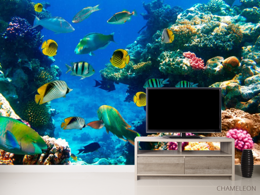 Фотообои Рыбий косяк - 2