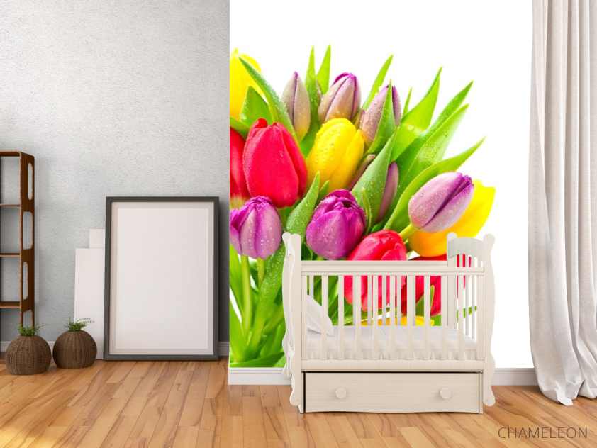 Фотообои разноцветные тюльпаны с каплями - 2