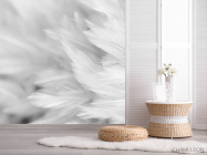 Фотошпалери білі пір'я - 2