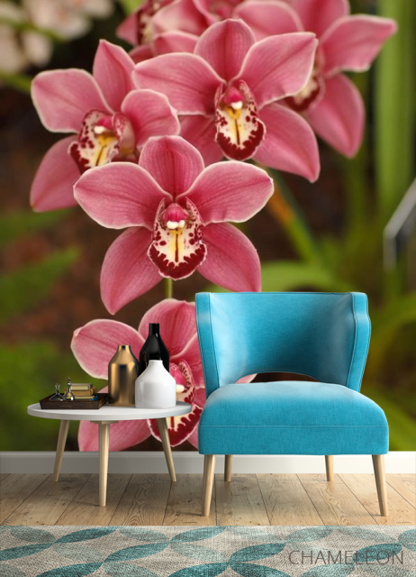 Фотообои Розовые орхидеи - 4