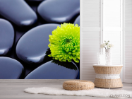 Фотошпалери Квітка і камені - 2