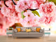 Фотообои Ветка нежно-розовых цветов - 1