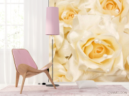 Фотошпалери Троянди кремового відтінку - 4