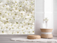 Фотошпалери білі квіти - 2