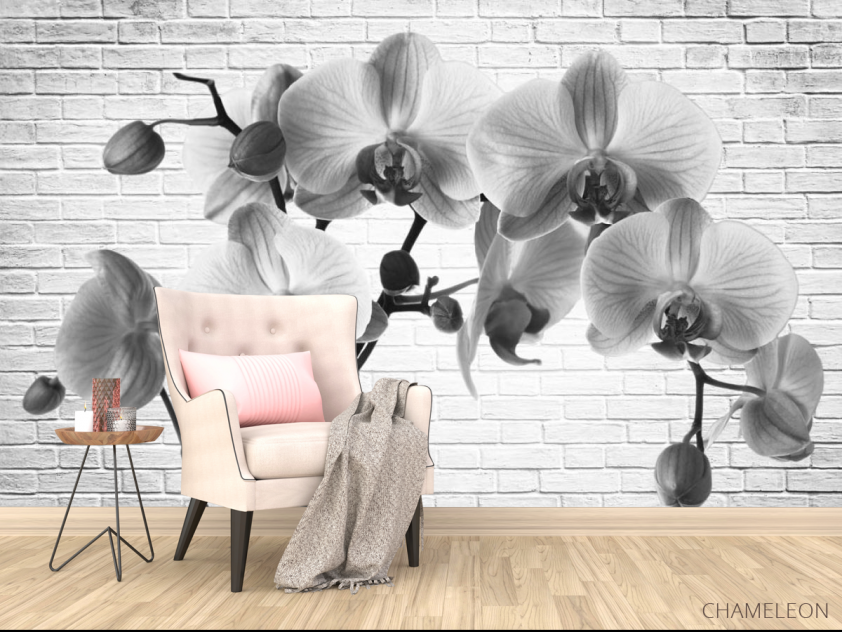 Фотообои Орхидея - 4