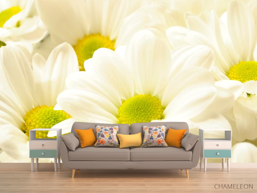 Фотообои Ромашки большие - 1