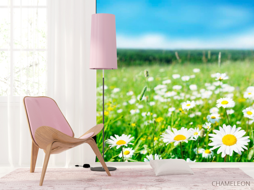 Фотошпалери Степові білосніжні ромашки - 4