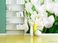 Фотошпалери Тюльпани білосніжні - 3