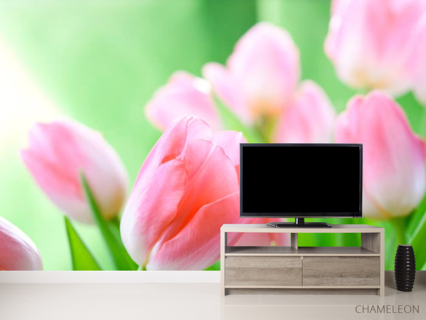 Фотообои Нежно-розовые тюльпаны - 2