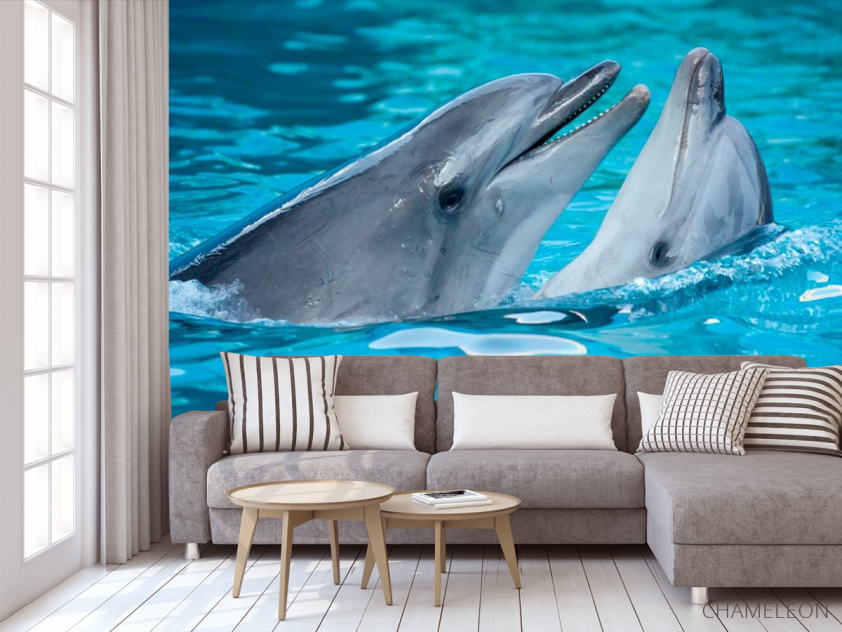 Фотообои Нежность дельфинов - 3