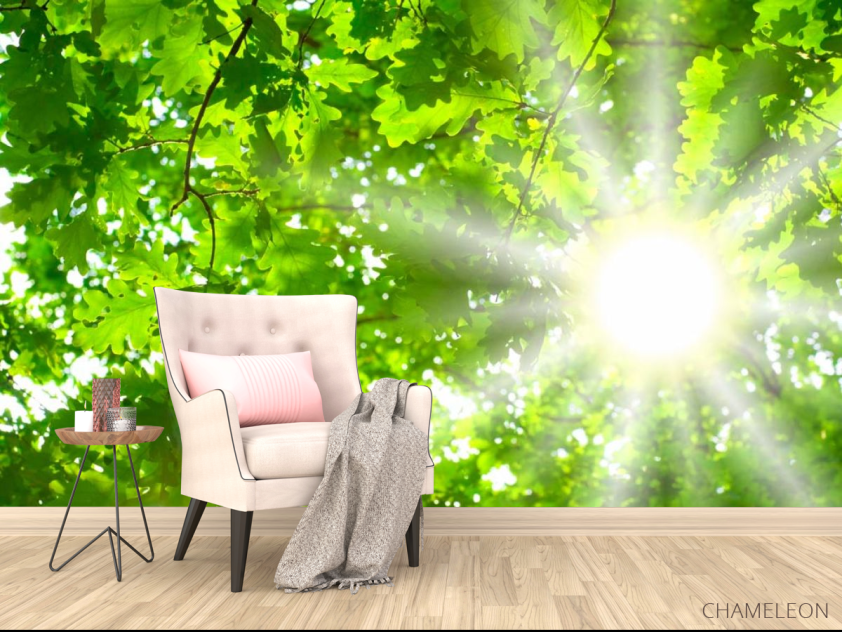 Фотообои Дубовый лист - 4