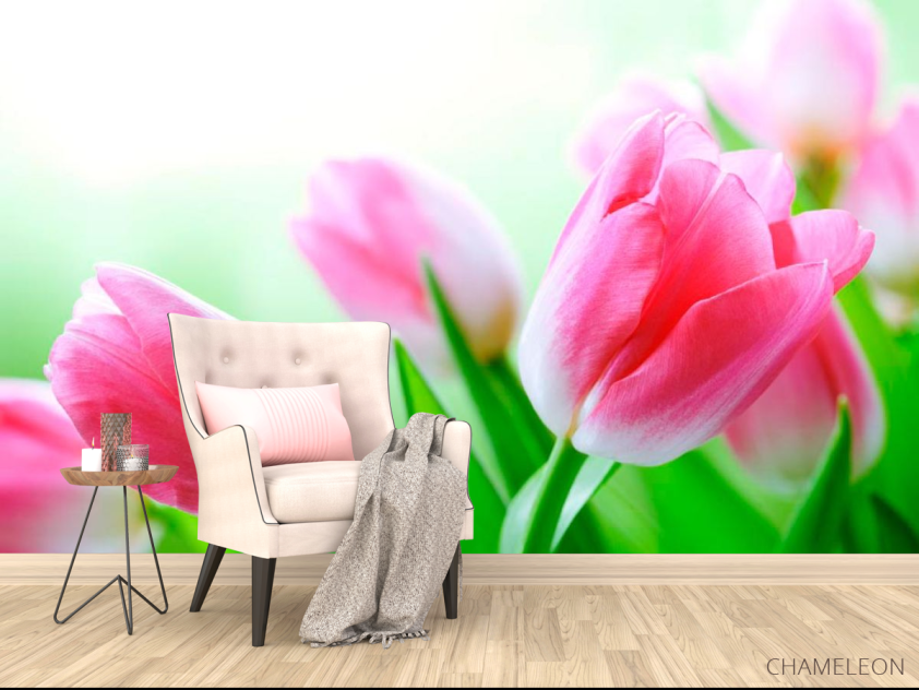 Фотообои Тюльпаны в цвету - 4