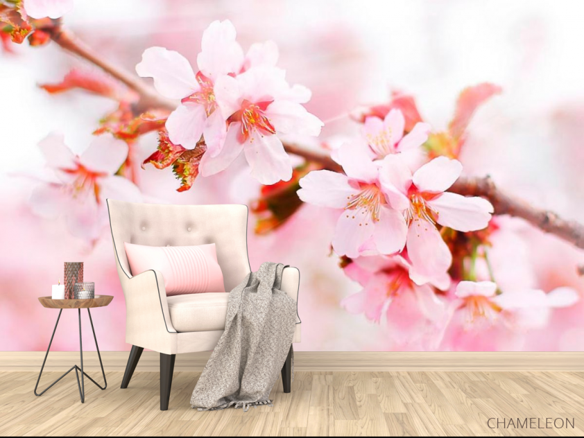 Фотообои Цветущая розовая вишня - 4