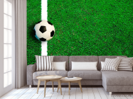 Фотообои Мяч на линии - 3