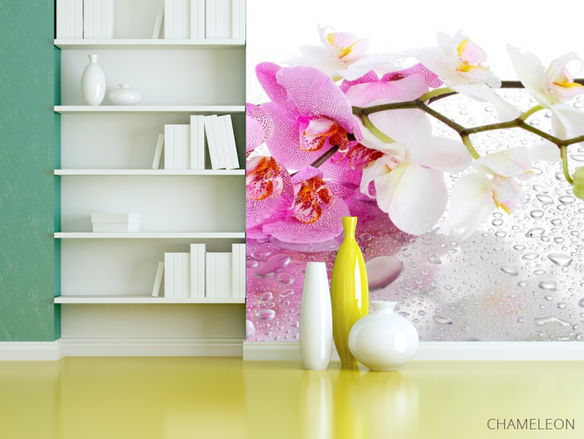 Фотошпалери Орхідеї рожеві і білі - 3