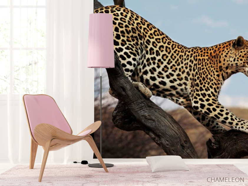 Фотошпалери Полює гепард - 4