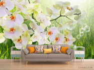 Фотообои белая орхидея на фоне травы - 1