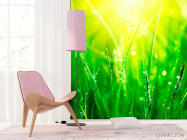 Фотошпалери На траві роса - 4