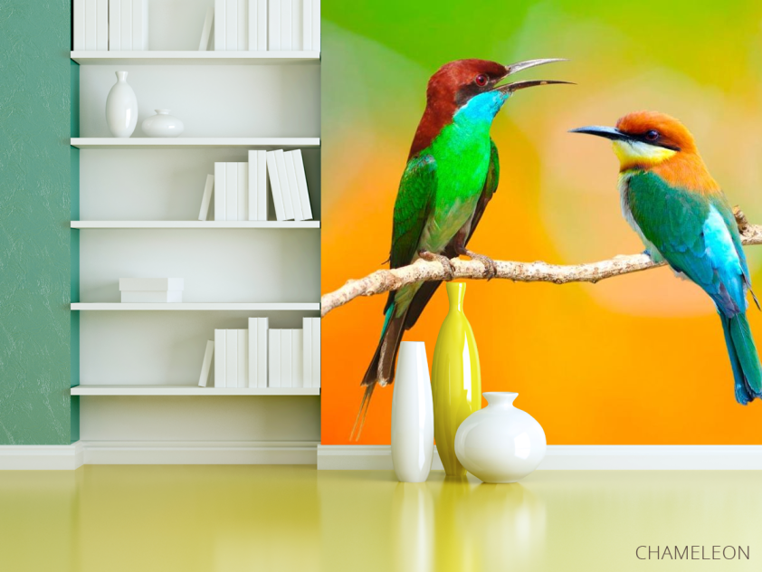 Фотошпалери Колібрі на гілці - 3