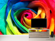 Фотообои Разноцветная роза - 2