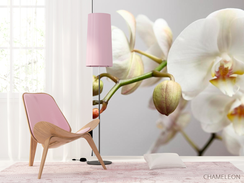 Фотошпалери Орхідея білосніжна - 4