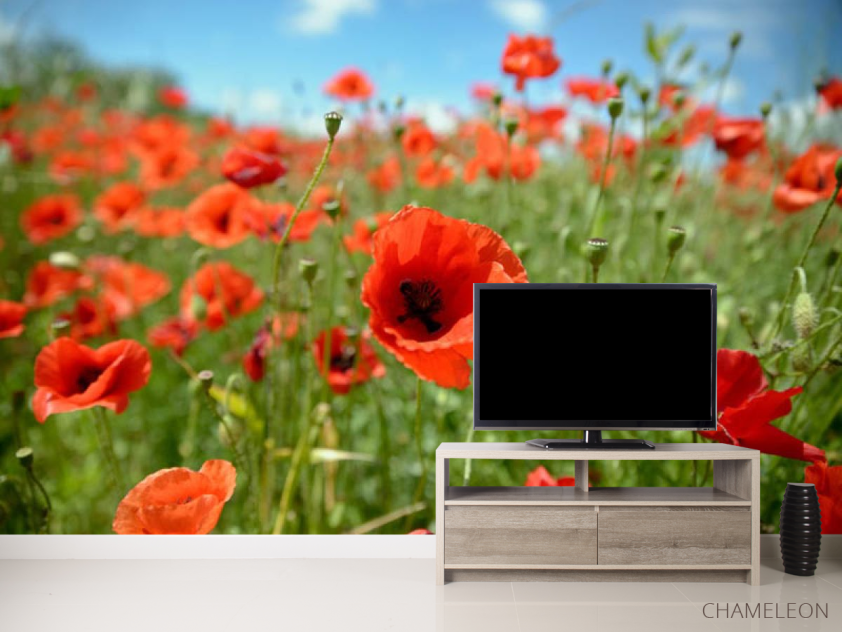 Фотообои маковое поле - 2