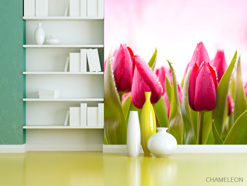 Фотошпалери Рожево-малинові тюльпани - 3