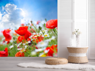Фотошпалери Маки та ромашки - 2
