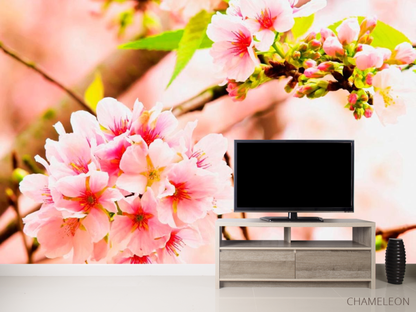 Фотообои Соцветия розовых цветов - 2