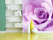 Фотошпалери троянда - 3