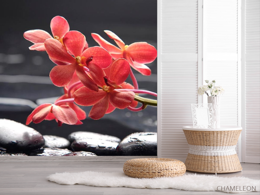Фотошпалери Коралові квіти - 2