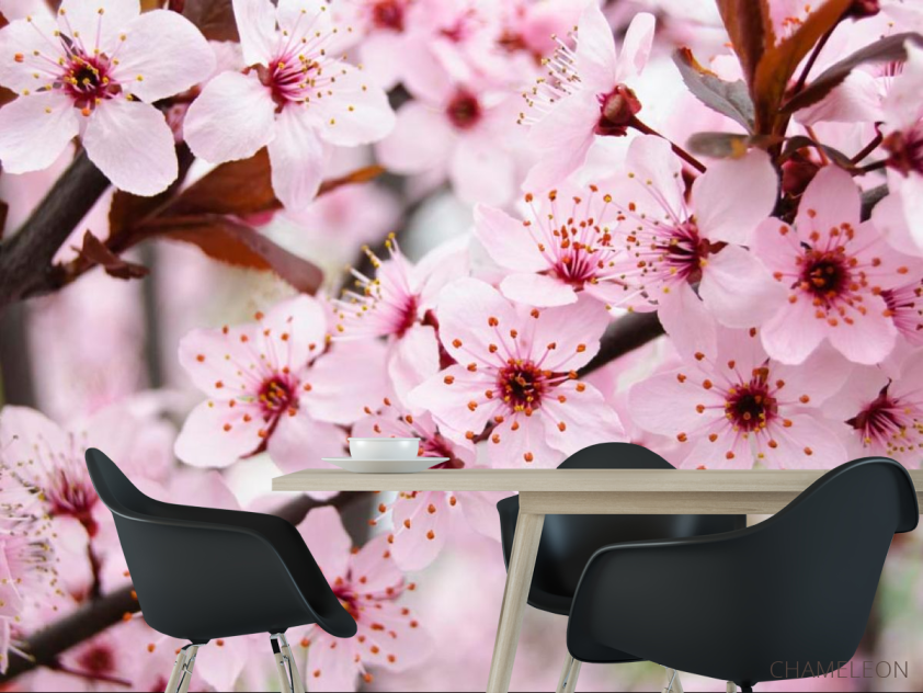 Фотошпалери Квітуче деревце навесні - 1