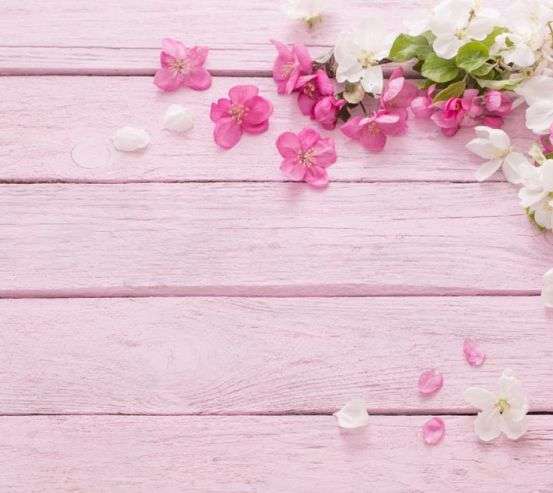 Фотообои белые и розовые лепестки на розовом деревянном фоне Фотообои белые и розовые лепестки на розовом деревянном фоне 21155