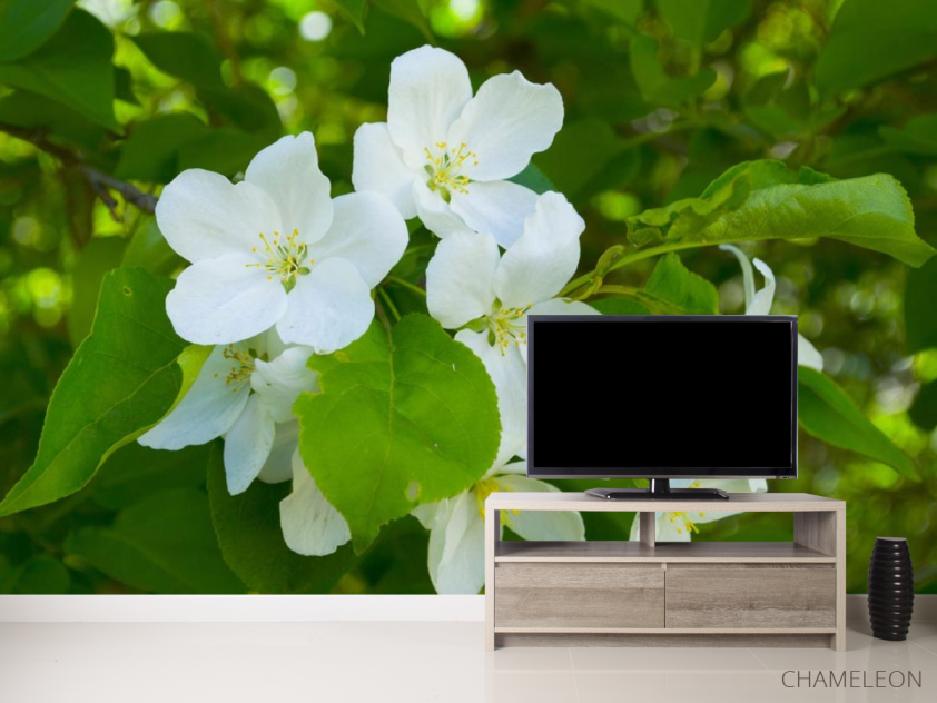 Фотообои Чубушник - 2