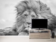 Фотообои лев - 2