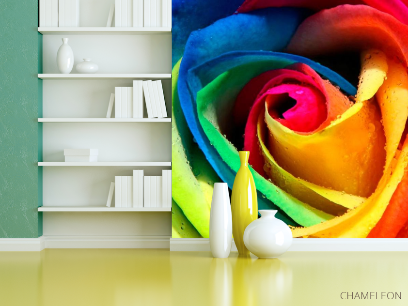 Фотошпалери Біла троянда - 3