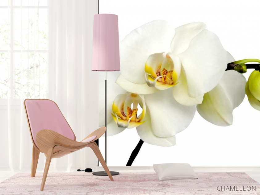 Фотошпалери Орхідеї жовто-білі - 4