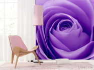 Фотообои Сиреневая роза - 4