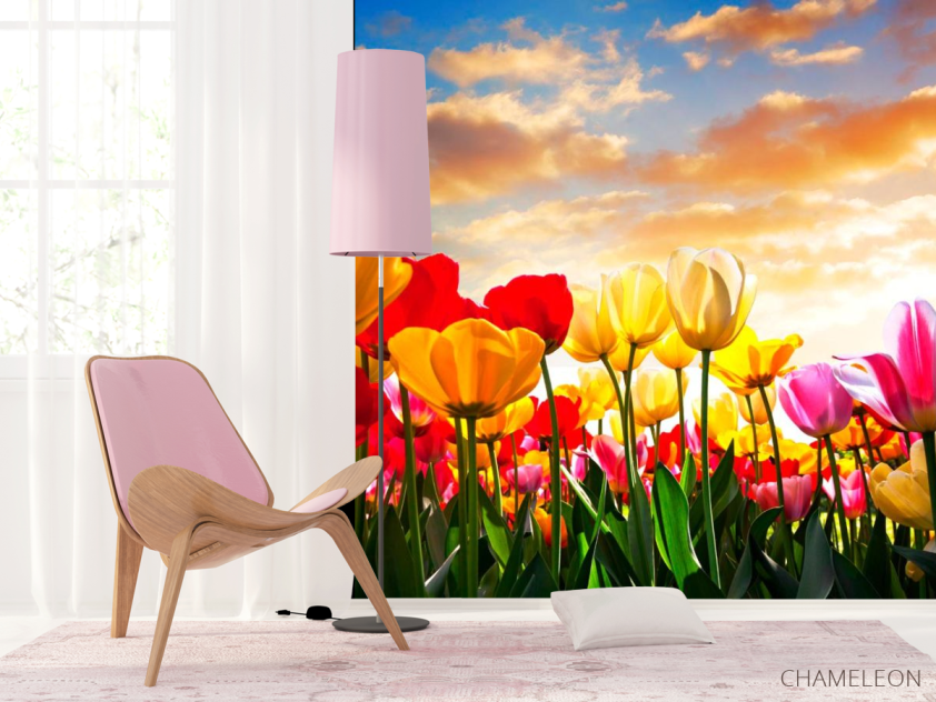 Фотообои Тюльпаны в закате - 4