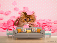 Фотообои Котенок в лепестках - 1