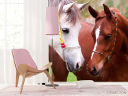 Фотошпалери Пара коней - 4