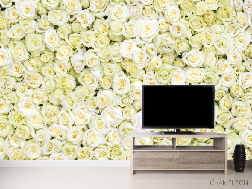 Фотообои море белых роз - 2