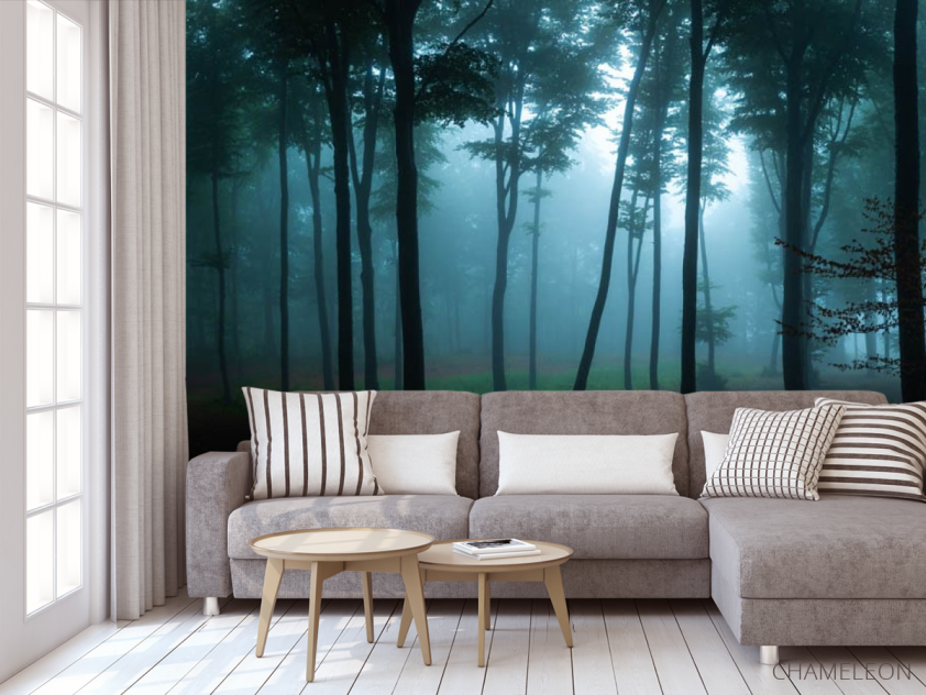 Фотообои Тёмный лес - 3