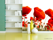 Фотошпалери Маків червоних полі - 3