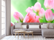 Фотообои Нежно-розовые тюльпаны - 3