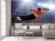 Фотообои Вратарь ловит мяч - 3