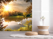 Фотошпалери лебідь на озері - 2