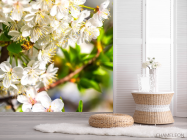 Фотошпалери бджола на квіточках - 2